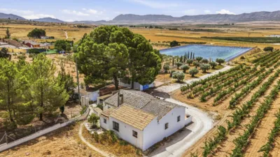 House in Yecla photo 69