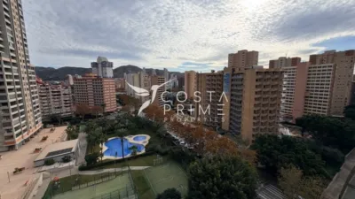 Apartment in Benidorm photo 24