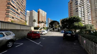 Apartment in Benidorm photo 29