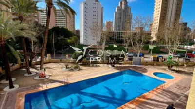 Apartment in Benidorm photo 3