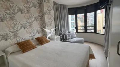 Apartment in Benidorm photo 11