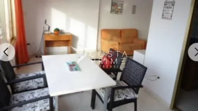 Apartment in Benidorm photo 8