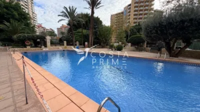 Apartment in Benidorm photo 23