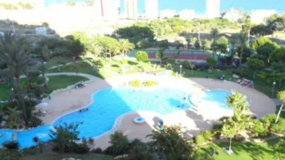 Apartment in Benidorm photo 2