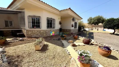 Villa in Albox photo 4