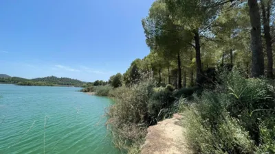 Apartment in Calasparra photo 38