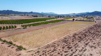 Terreno en venta en Camarillas - Vista 3