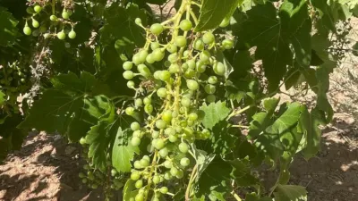 Terreno en venta en Camarillas - Más