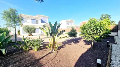 Villa in Lorca photo 23