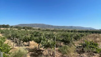 Terreno en venta en El Pinós - Pinoso - Vista 5