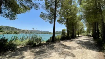Apartment in Calasparra photo 39