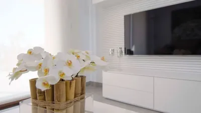 Apartment in San Juan de Terreros photo 11
