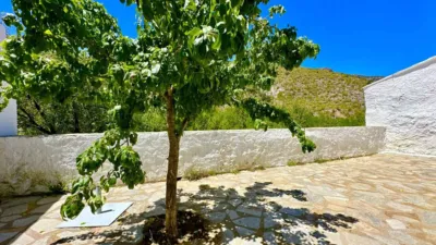House in Sierro photo 65
