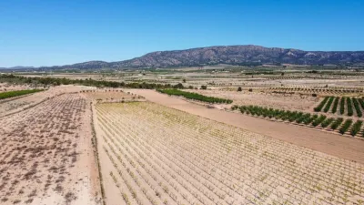 Terreno en venta en El Pinós - Pinoso - Vista 3