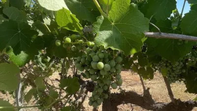 Terreno en venta en El Pinós - Pinoso - Más