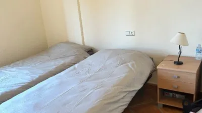 House in Algorfa photo 34