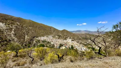 House in Sierro photo 19