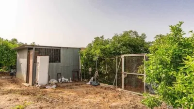 Rustic Finca in Capistrano-Cueva de Nerja photo 2