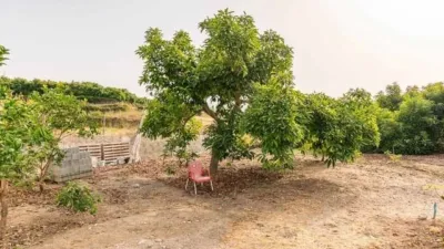 Rustic Finca in Capistrano-Cueva de Nerja photo 12
