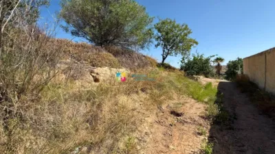 Rustic Finca in Albox photo 30