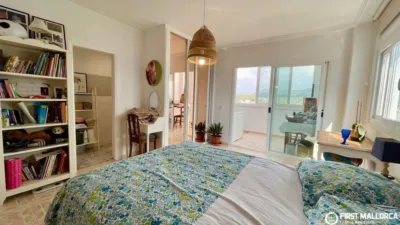Attic in Magaluf photo 7