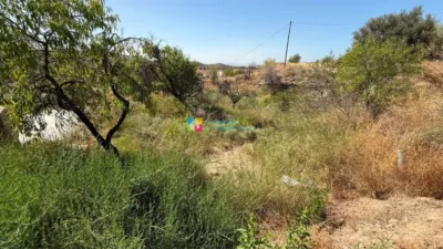 Rustic Finca in Albox photo 29