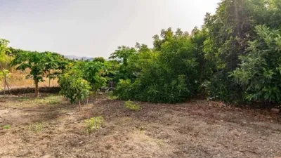 Rustic Finca in Capistrano-Cueva de Nerja photo 13