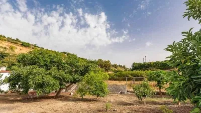 Rustic Finca in Capistrano-Cueva de Nerja photo 11