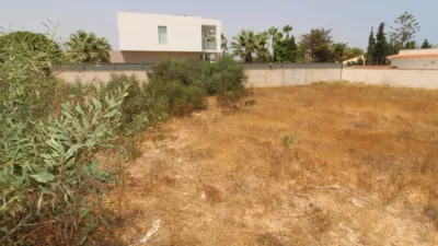 Terreno en venta en Orihuela - Más