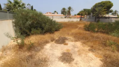 Terreno en venta en Orihuela - Vista 5