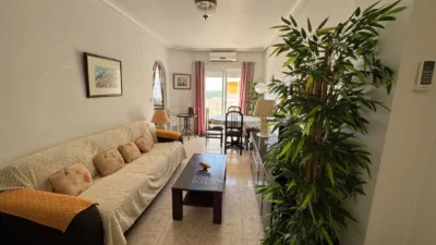 Pis – Guardamar del Segura, Urbanització Pinar de Guardamar - Vista 2
