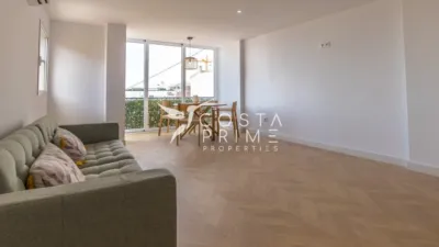 Pis - Vista 3