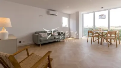 Pis - Vista 2