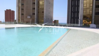 Apartment in Benidorm photo 13