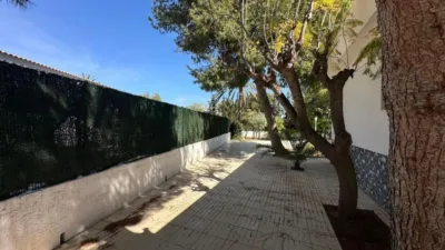 Villa in Sant Vicent del Raspeig - San Vicente del Raspeig photo 15