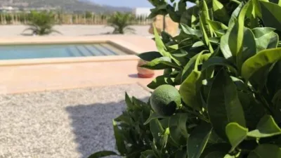 Villa in El Pinós - Pinoso photo 29