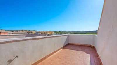 Apartment in Algorfa photo 19