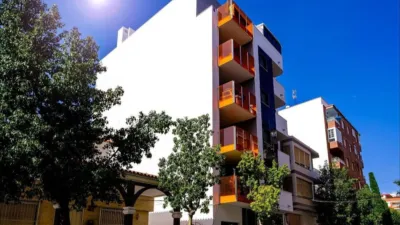 Pis – Torrevieja - Vista 5