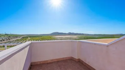 Apartment in Algorfa photo 23