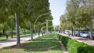 Apartment in La Creu del Grau photo 43