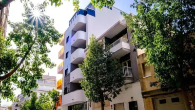 Pis – Torrevieja - Vista 2