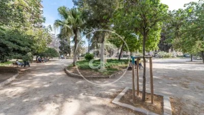 Apartamento en La Xerea photo 70