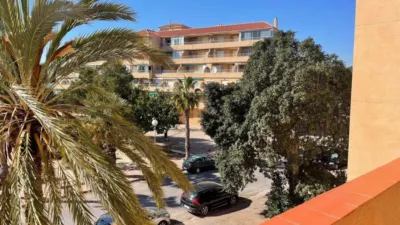 Apartment in Guardamar del Segura photo 3