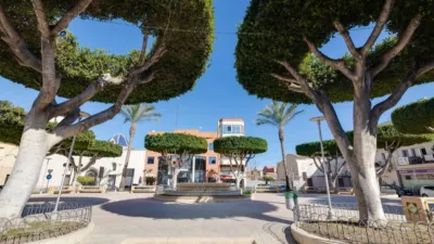 Pis – San Fulgencio - Vista 2