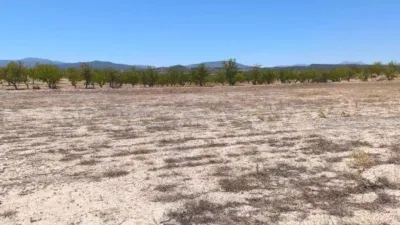 Terreno en venta en El Pinós - Pinoso - Vista 3