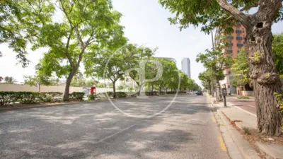 Apartment in La Creu del Grau photo 44