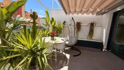 House in Guardamar del Segura photo 13