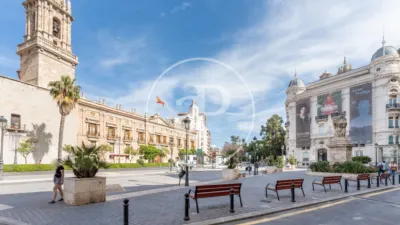 Apartamento en La Xerea photo 68