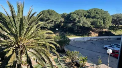 Apartment in Guardamar del Segura photo 23