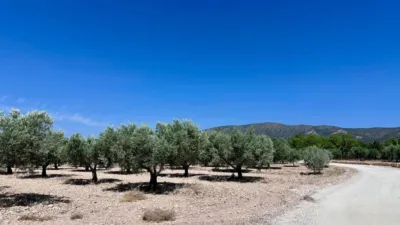 Terreno en venta en Monòver - Monóvar - Vista 2